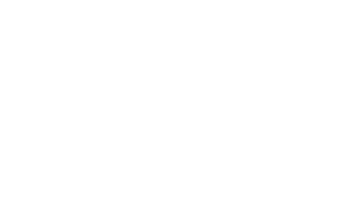 Vehicle Virgins logo