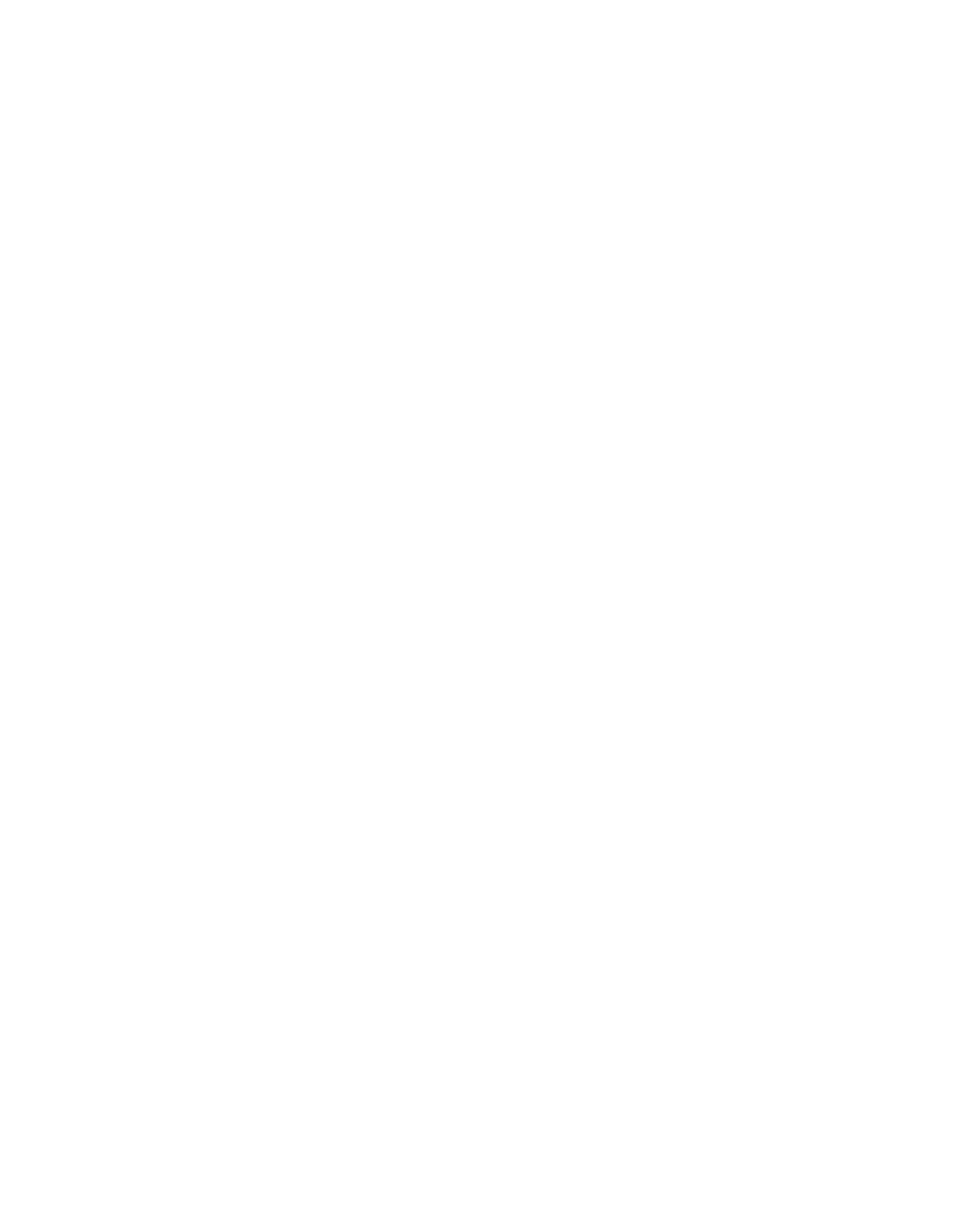Spicy Freedom with Johnny B logo