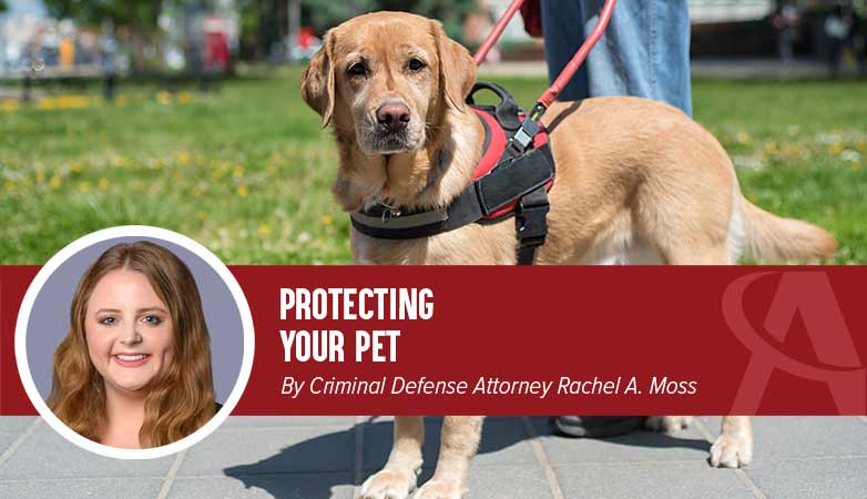 Protecting Your Pet